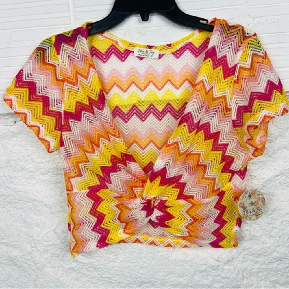 NWT JOLIE & JOY chevron multi colored knit mesh cropped top size 1X